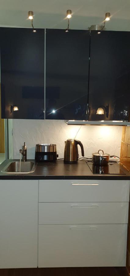 Apartament Senamiescio Deimantas Wilno Zewnętrze zdjęcie